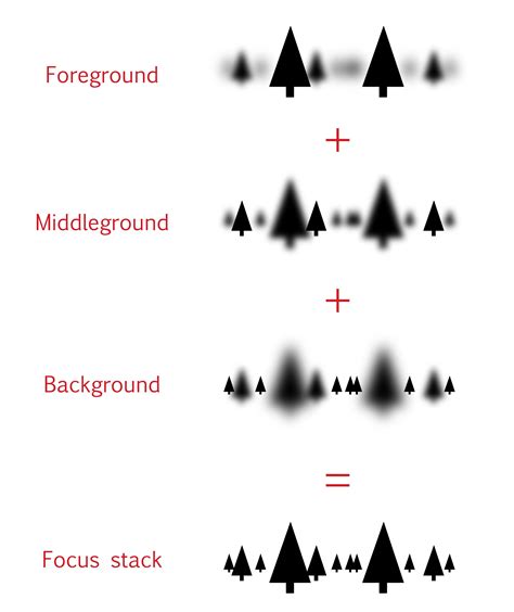 Focus Stacking Tutorial for Landscape Photography