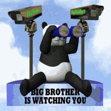 Big Brother Is Watching You GIF - Big Brother Is Watching You ...