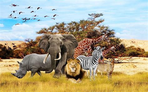 Free Wild Animal Wallpaper at Barbara Katzer blog