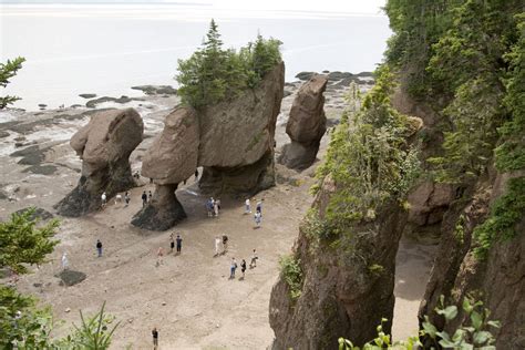 Bay of Fundy Tourist Information, Facts & Picture