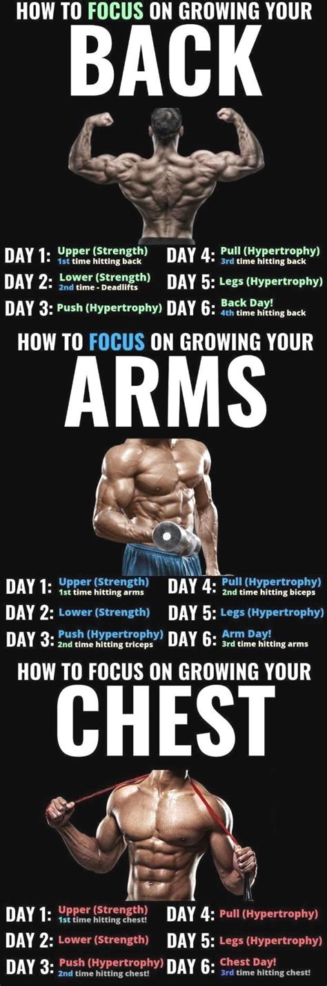 #your #results Improve your results and build a more massive and aesthetic upper body with these ...