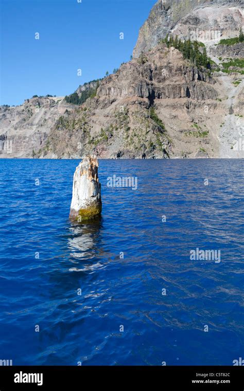 Old Man of the Lake floating log in Crater Lake Oregon USA Stock Photo ...