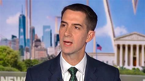 Tom Cotton pitches US troops as a 'viable solution' for invading Gaza ...