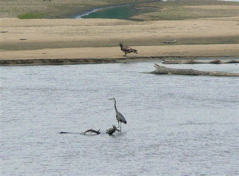 Platte River | Nebraska, Map, & Facts | Britannica