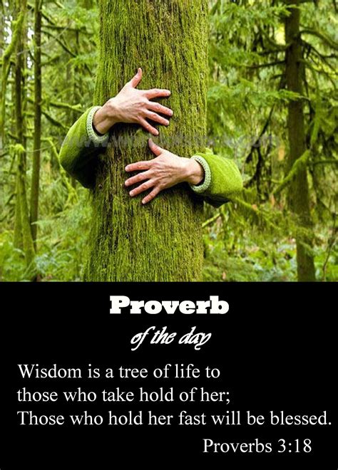 Pin on Proverb of the Day