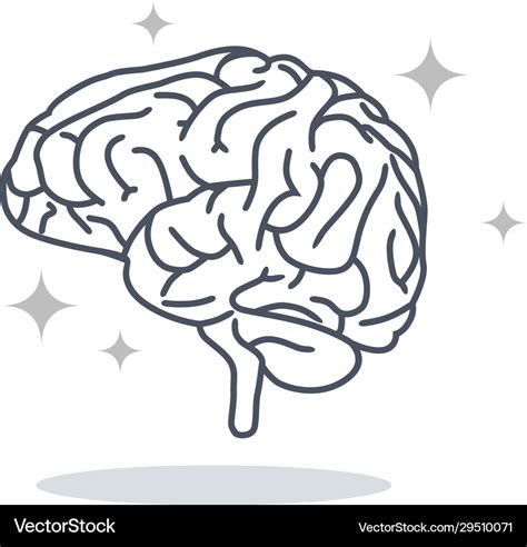 Brain Clip Art Innovation