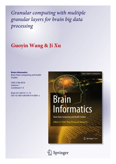 (PDF) Granular computing with multiple granular layers for brain big ...