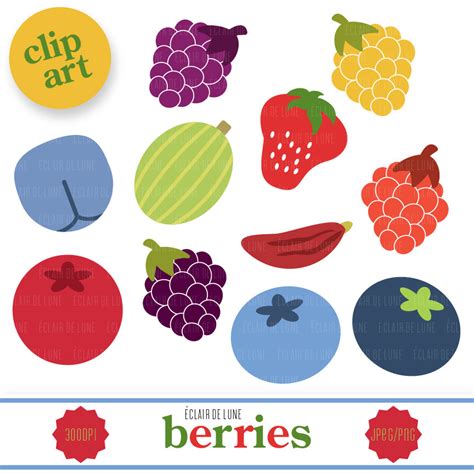 Berry clipart, Berry Transparent FREE for download on WebStockReview 2024