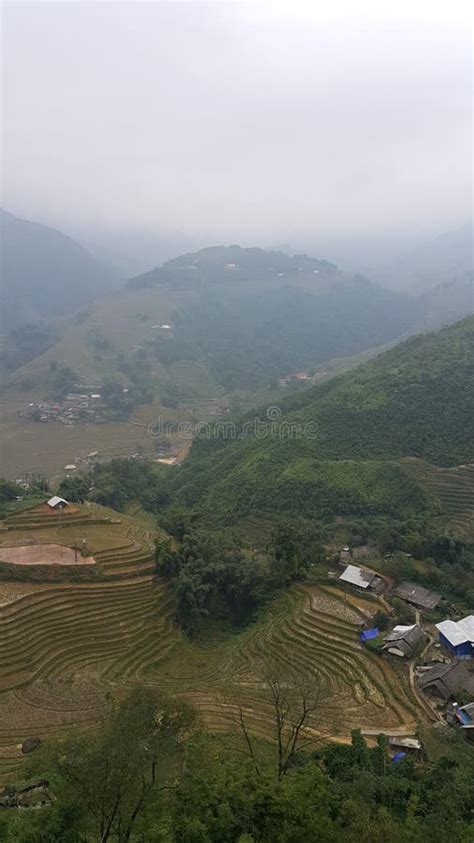 Rice Terraces in Sapa, Vietnam Stock Photo - Image of green, world: 272261750