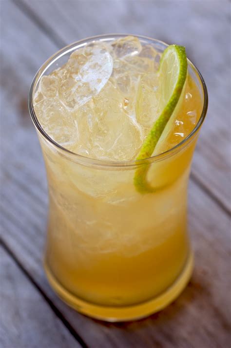 10 of the Best Ginger Beer Cocktail Drinks with Recipes