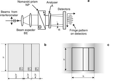 Detection setup using Nomarski prism: view of the setup (a), dimensions ...