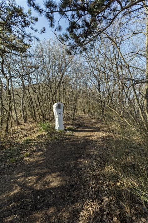 Hiking Trail in the Buda Hills Near Budapest Stock Image - Image of ...