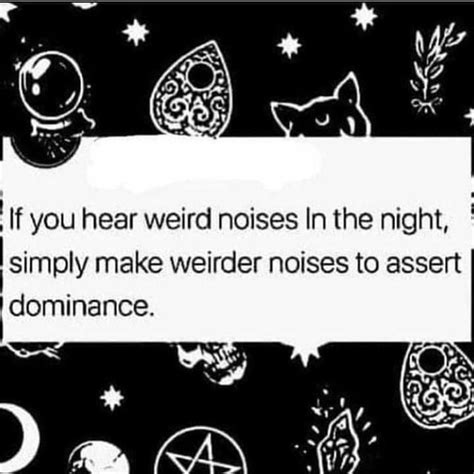 ' If you hear weird noises In the night, simply make weirder noises to ...