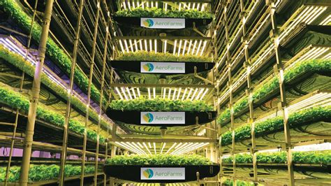 Aerofarms the world's largest indoor vertical farm is addressing food ...