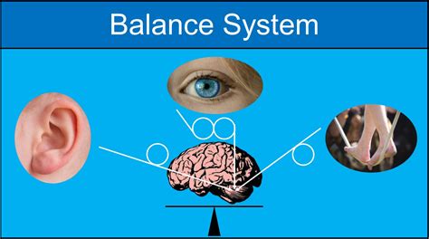 Somatosensory System And Balance - momsology