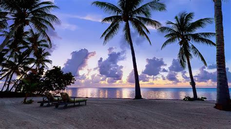 Beautiful Houses With Palm Trees