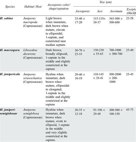 Morphological characteristics that differentiate the new species from... | Download Table