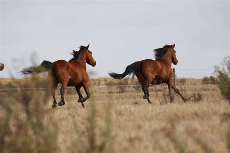 Gallery – Coffin Bay, South Australia