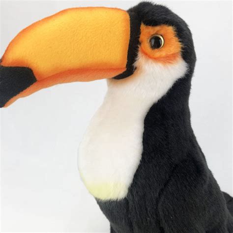 Lifelike Toucan Bird Soft Stuffed Plush Toy – Gage Beasley