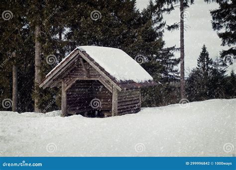 Wooden Hut in Dark Snowy Winter Forest Stock Photo - Image of fairy ...