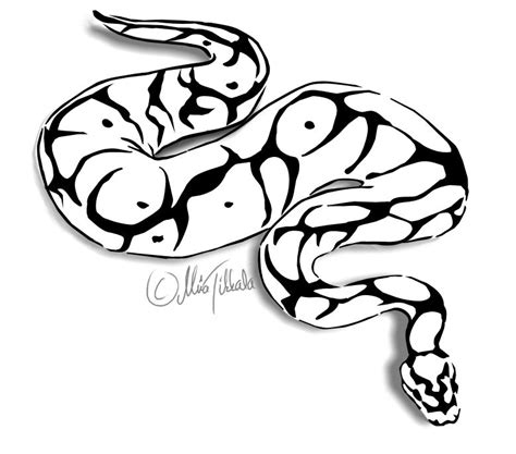 Free Python Cliparts, Download Free Python Cliparts png images, Free ...