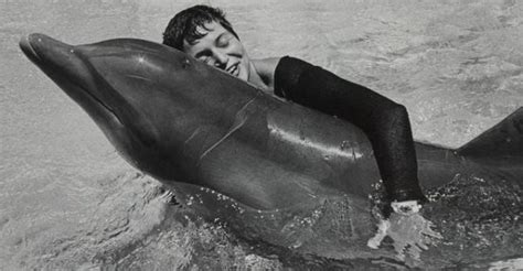 John C. Lilly: The Mad Scientist Who Gave LSD To Dolphins | Awaken