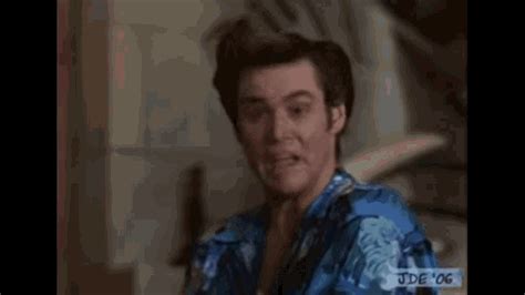 Jim Carrey Ace Ventura GIF - Jim Carrey Ace Ventura Pet Detective ...