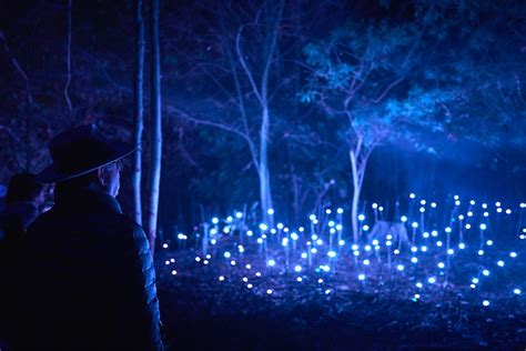 A Lumina Night Walk Is Coming To Brisbane | URBAN LIST BRISBANE