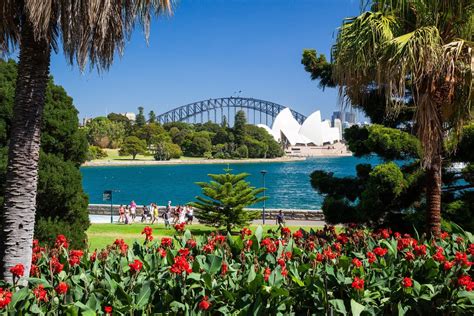 Royal Botanic Garden, Sydney, New South Wales, Australia | Royal botanic gardens sydney, Sydney ...