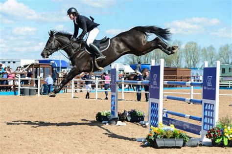 a person on a horse jumping over an obstacle