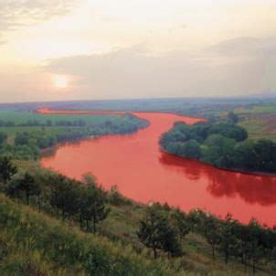 nile turned to blood | Water of Nile River Transformed to Blood | Blood ...