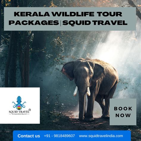 Exploring the Wild Beauty: Unforgettable Kerala Wildlife Tour Packages ...