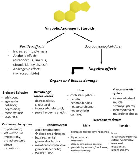 How Long Do Steroids Stay In The Body - Stéroïde Légale