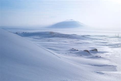 The Consequences of Climate Change Are Already Visible in Siberia