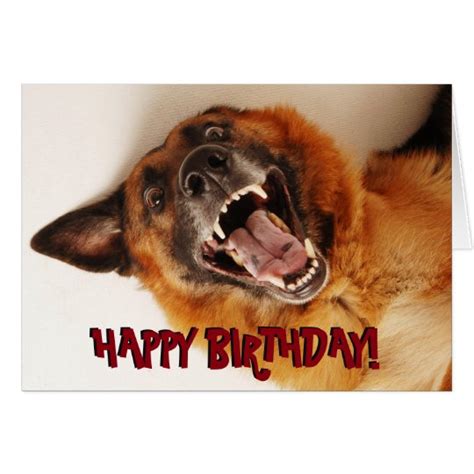 Funny German Shepherd birthday card | Zazzle