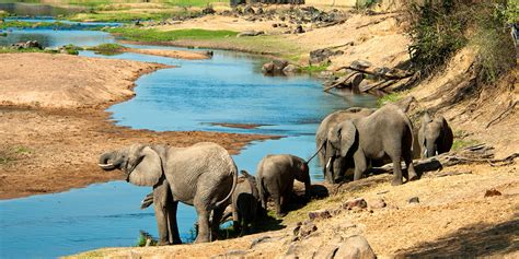 Ruaha National Park - Focus East Africa Tours