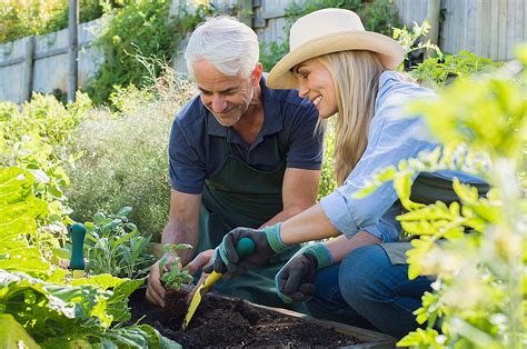 Ready to Become a Master Gardener? Apply for Training Now