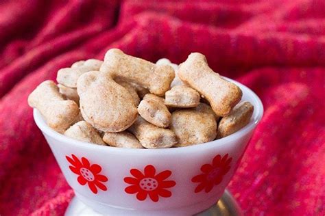 Zoe's Best Cinnamon Apple Homemade Dog Treats for dogs with sensitive stomachs. | Make dog food ...