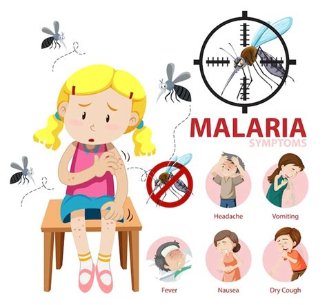 Free Vector | Malaria symptom information infographic