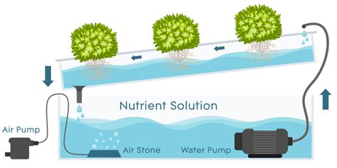 Nutrient Film Technique - AGrowTronics - IIoT For Growing