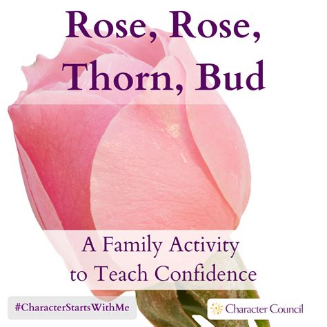 Rose, Rose, Thorn, Bud - Character Council