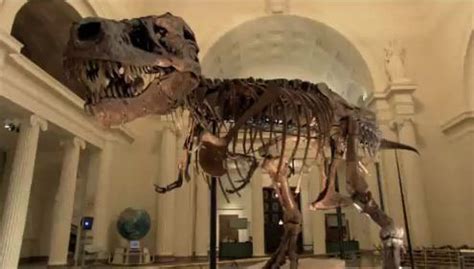 This Day In History • August 12, 1990: Tyrannosaurus Rex Skeleton “Sue”...