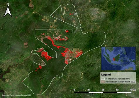 Just two companies drive 77% of deforestation in Indonesia’s industrial ...