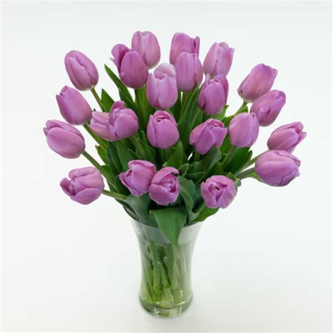 Fresh Cut Lavender Tulips: Fresh Cut Flowers: Tulips.com