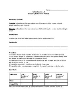 Exploring the Scientific Method - Surface Tension Lab by Meghan Doblar