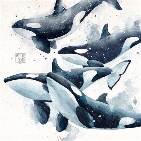 30 Whale Watercolor Painting Ideas