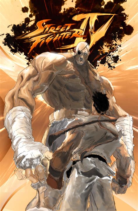Sagat vs Ryu 2 by codesigner on DeviantArt