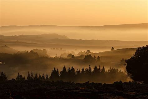 silhouette photography, forest, landscape, valley, mist, misty, mountain, sunrise | Piqsels