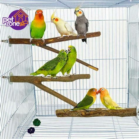 Bird Supplies - Pet Zone Store