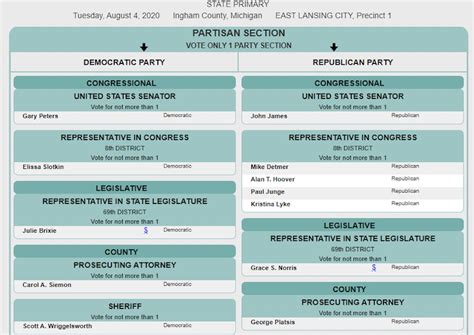 Michigan's Aug. 4 primary election: What's on the ballot? - The State News